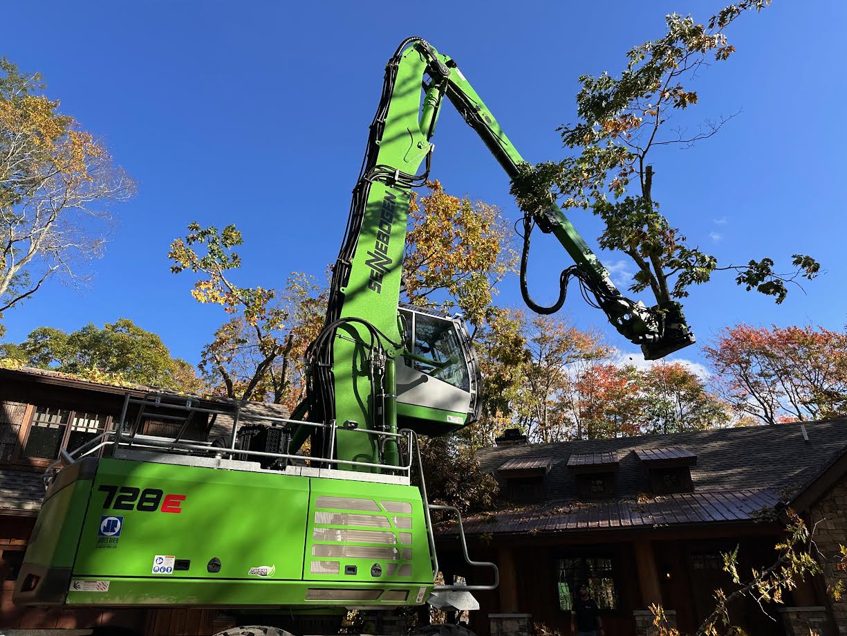How to Know When a Tree Needs to Be Removed in Banner Elk, North Carolina
